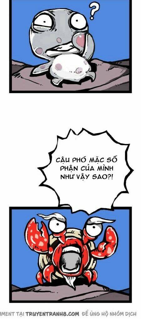 earth, human, and animal chapter 17 11