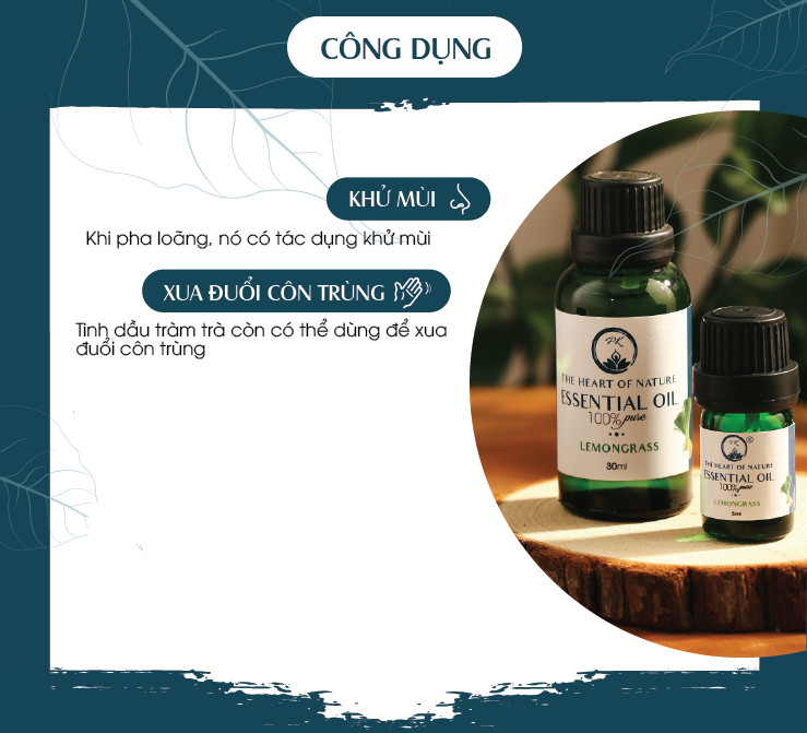 Tinh Dầu Cao Cấp Tràm Trà PK 100ML - Tinh Dầu Tràm Trà Thơm Phòng, Đuổi Muỗi, Thư Giãn - Chứng Nhận Hữu Cơ Organic FDA Hoa Kỳ duy nhất Việt Nam