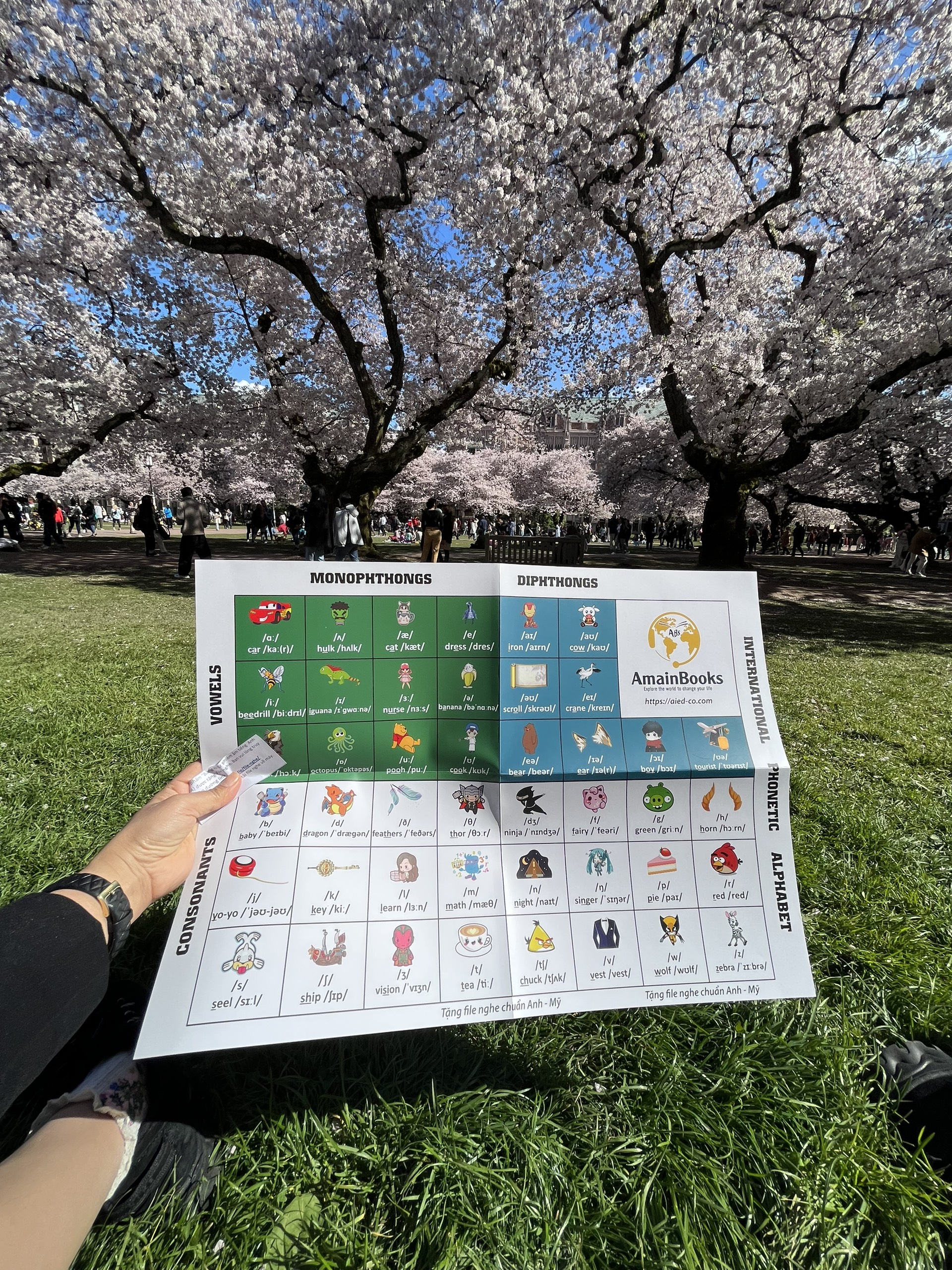 Bộ thẻ Flashcard 26 chữ cái tiếng Anh Alphabet &amp; bảng phiên âm tiếng Anh IPA2