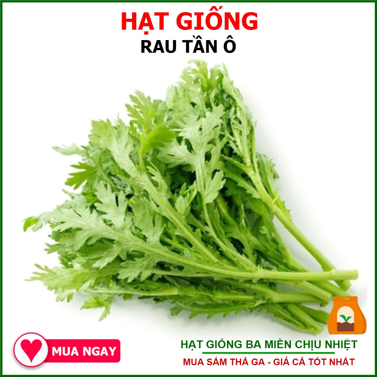 Combo 3 Gói Hạt Giống Rau Muống Lá Tre, Rau Tần Ô và Cà Chua Chịu Nhiệt Rạng Đông