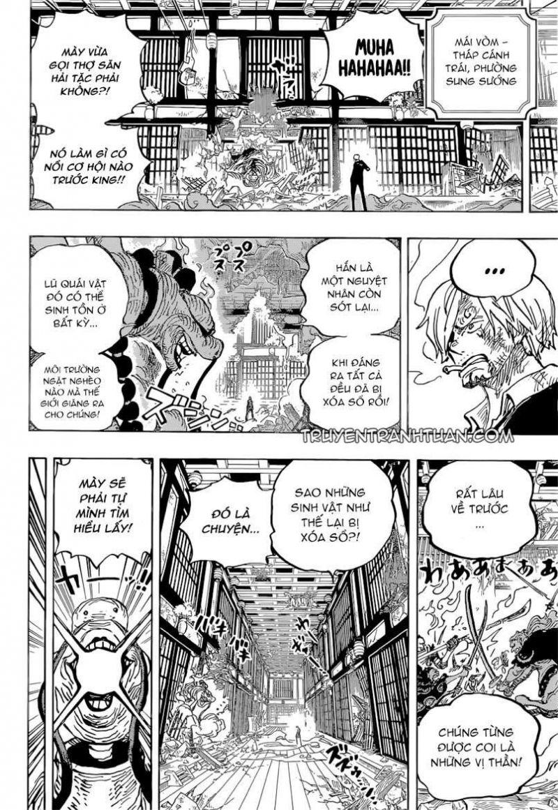 đảo hải tặc - one piece chapter 1033 4