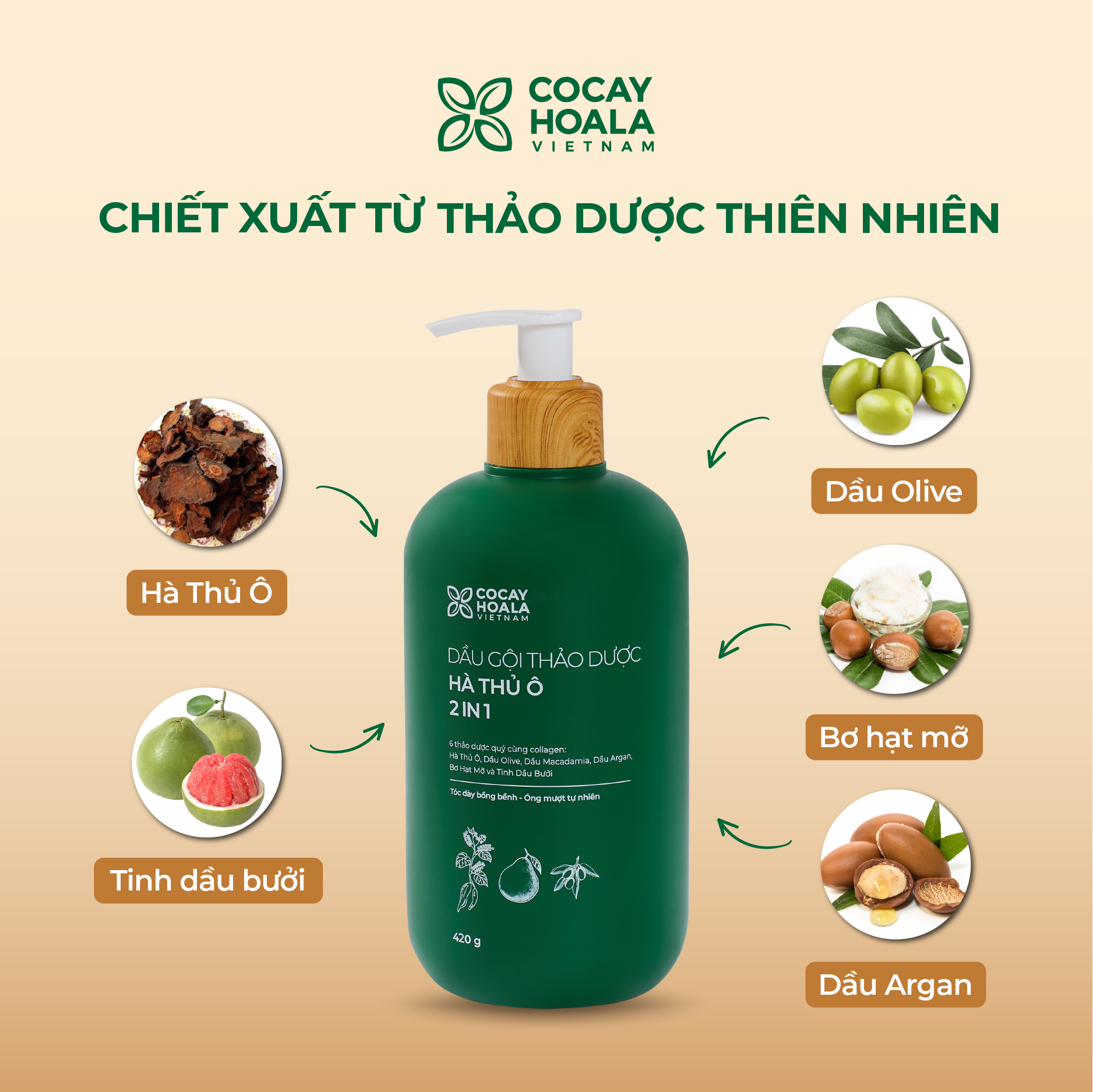 Dầu Gội Xả 2in1 Hà Thủ Ô COCAYHOALA VIETNAM - Dưỡng tóc đen mượt, bóng khỏe, Dung tích 420g/chai