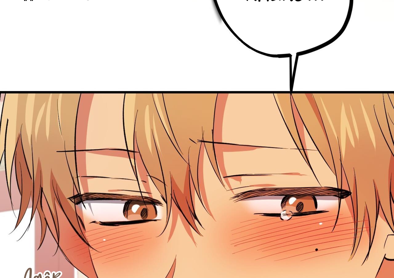 đàn thỏ của habibi chapter 63 189