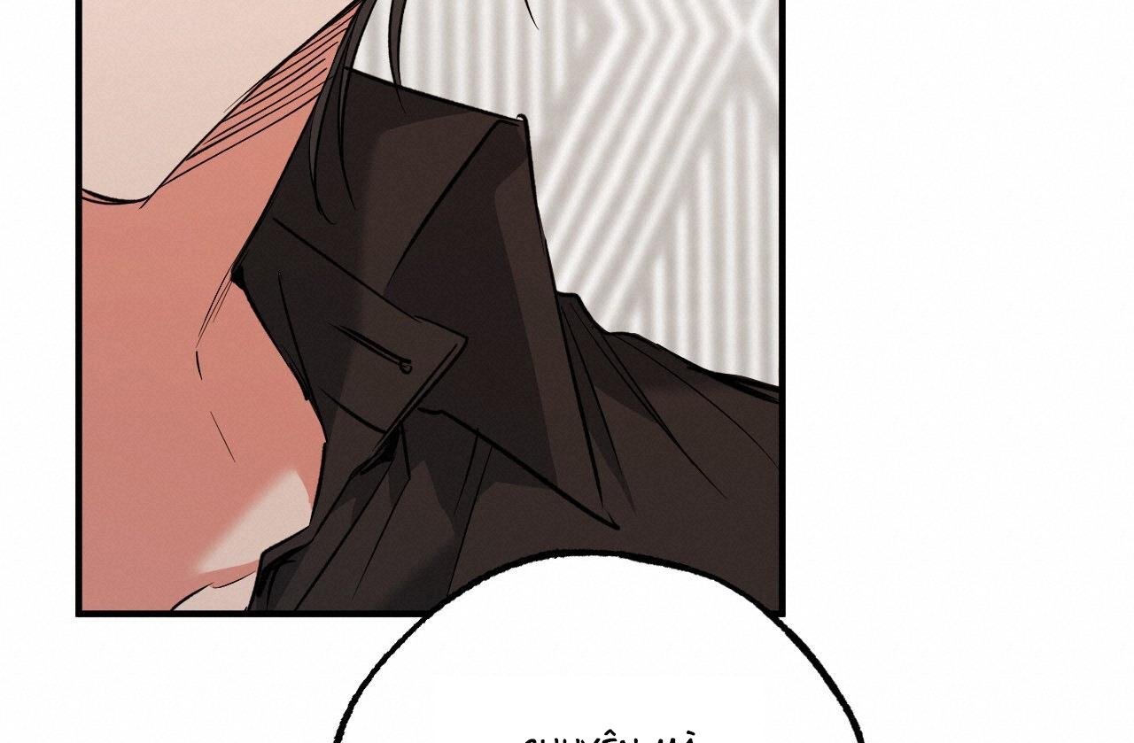 những chú thỏ của hapypy chapter 61 113