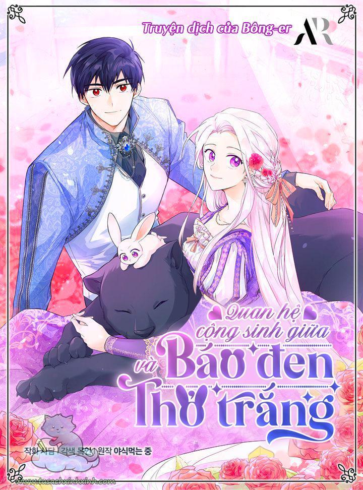 quan hệ cộng sinh giữa báo đen và thỏ trắng chapter 60 1