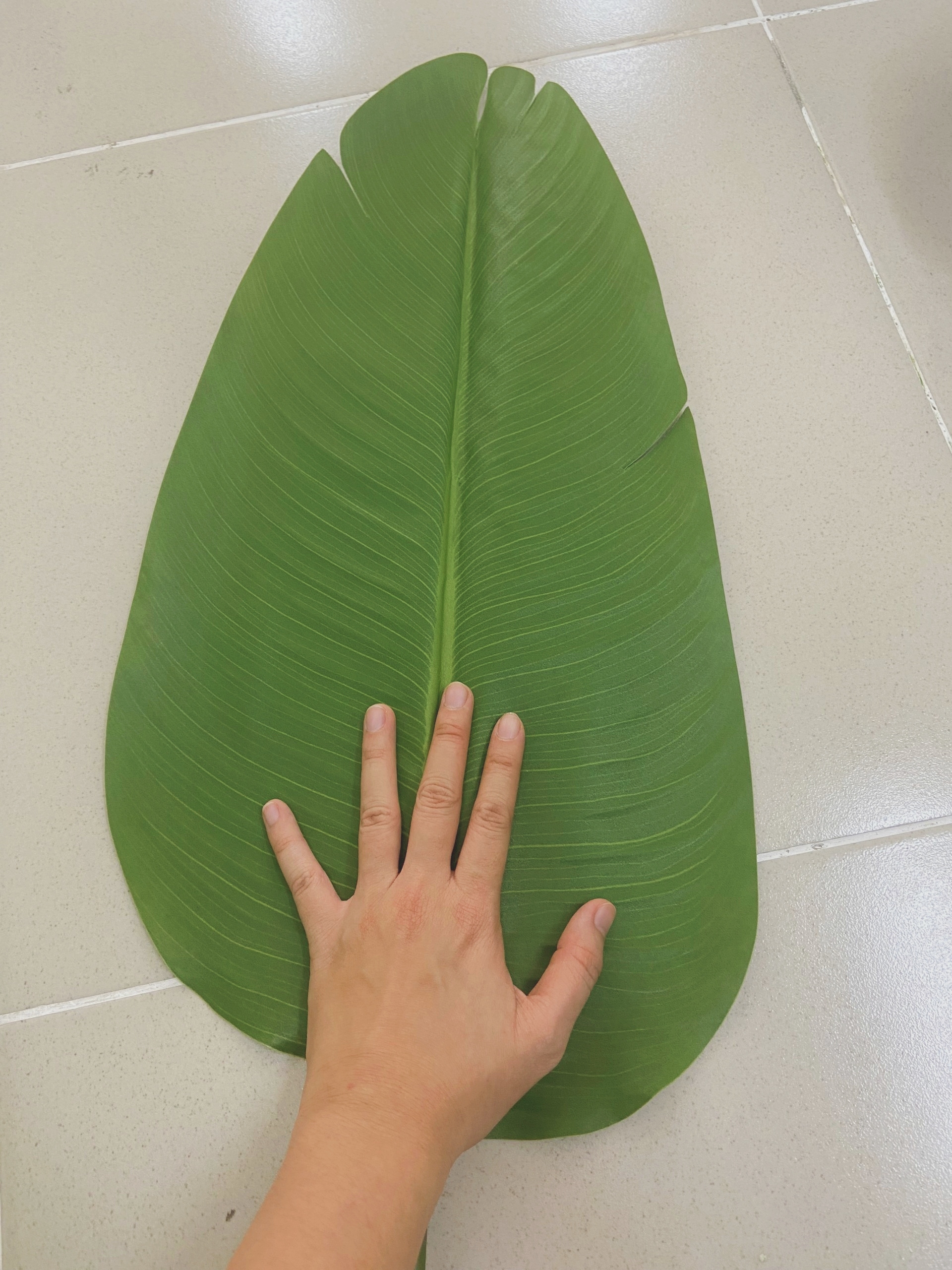 Cành lá chuối giả trang trí nội thất, nhà cửa, lá lụa cực đẹp, dài 94cm, 103cm