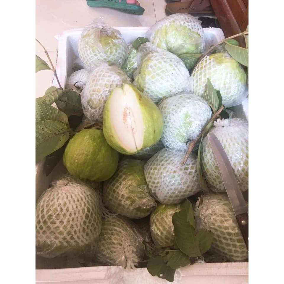 1KG TÚI XỐP BỌC ỔI, NA, MÃNG CẦU, CÁC LOẠI TRÁI CÂY đầy đủ thun, xốp,bì