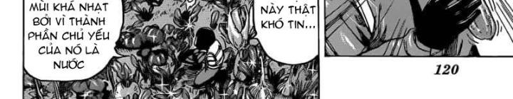 thánh tỏi sành ăn chapter 106 28