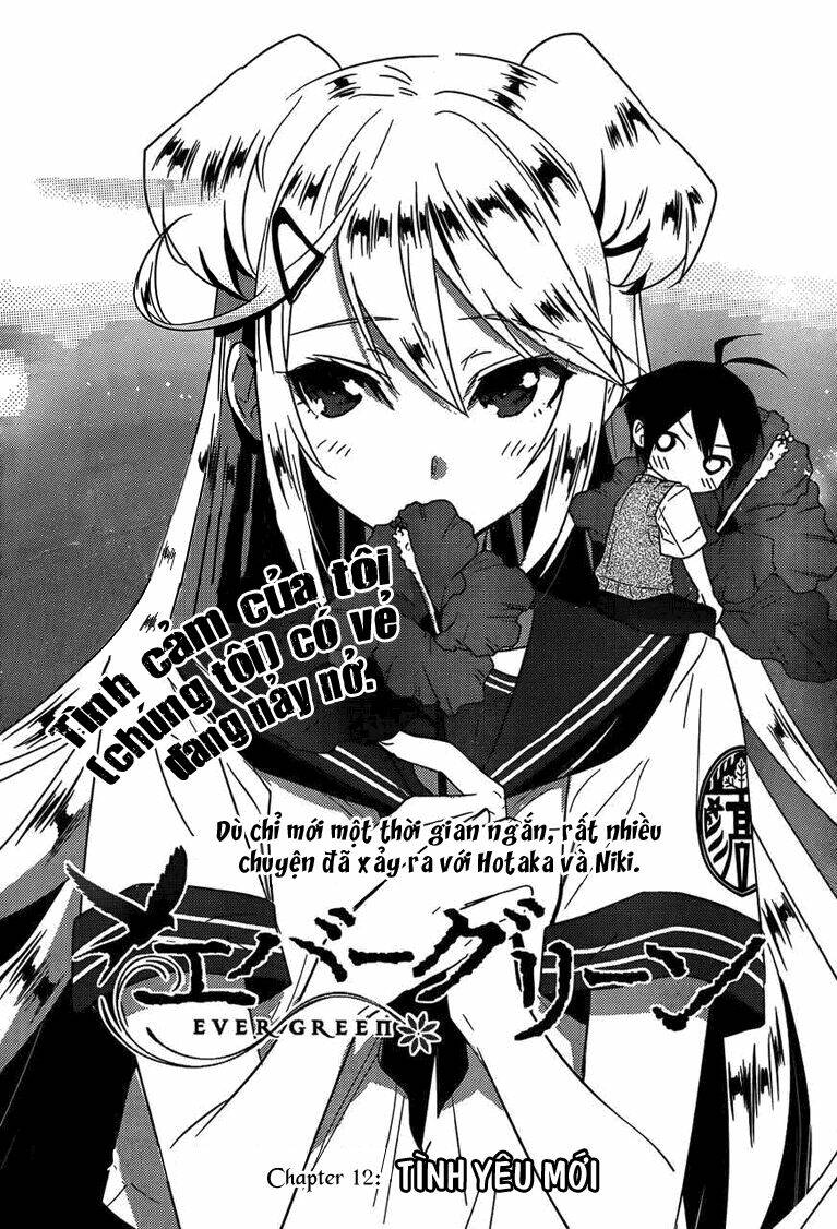 evergreen chapter 12 5