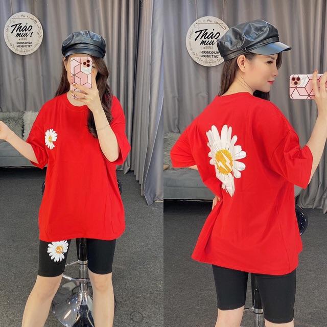 Bộ lửng hoa cúc siêu êu