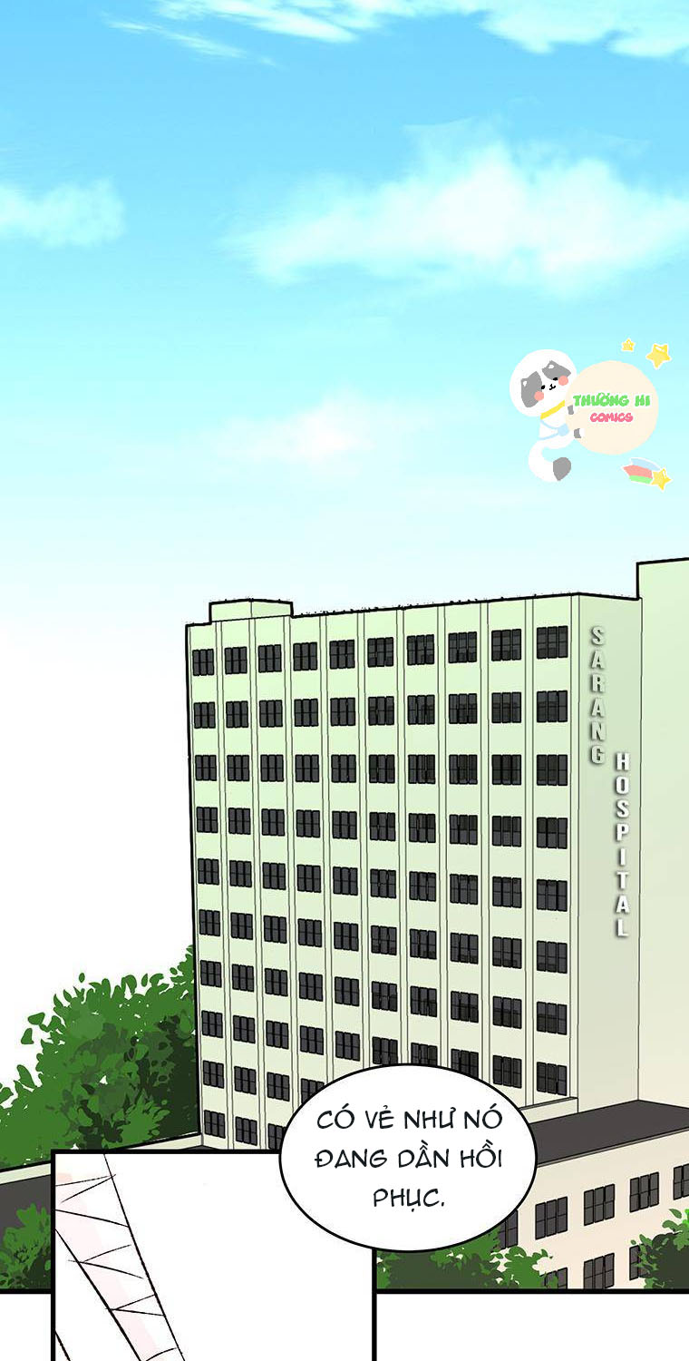 từng chút đến bên anh chapter 5 13