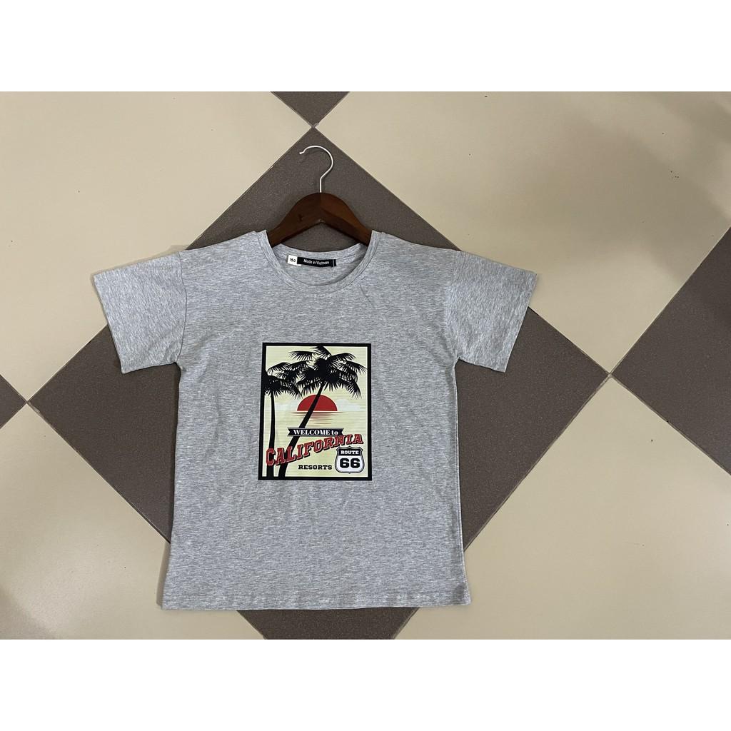 Áo thun trẻ em nam cotton 100% các màu : Mã 055