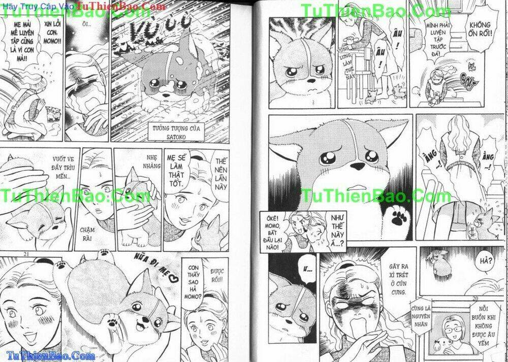 chó con mo mo chapter 4 11