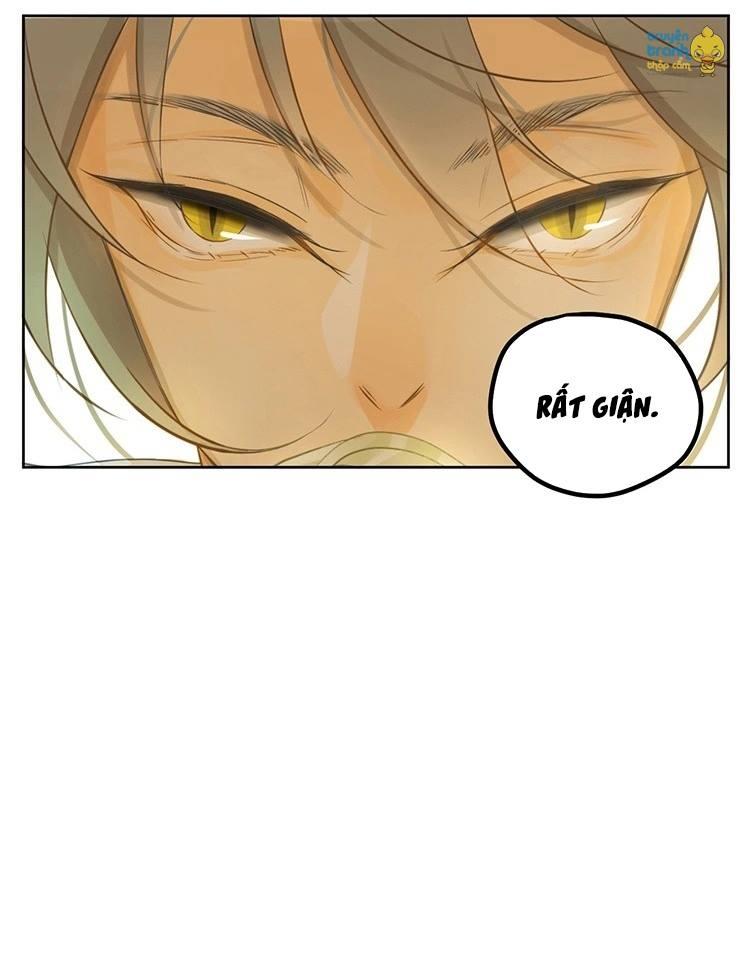 cứu mạng ! loài mèo thống trị thế giới rồi ! chapter 19 18