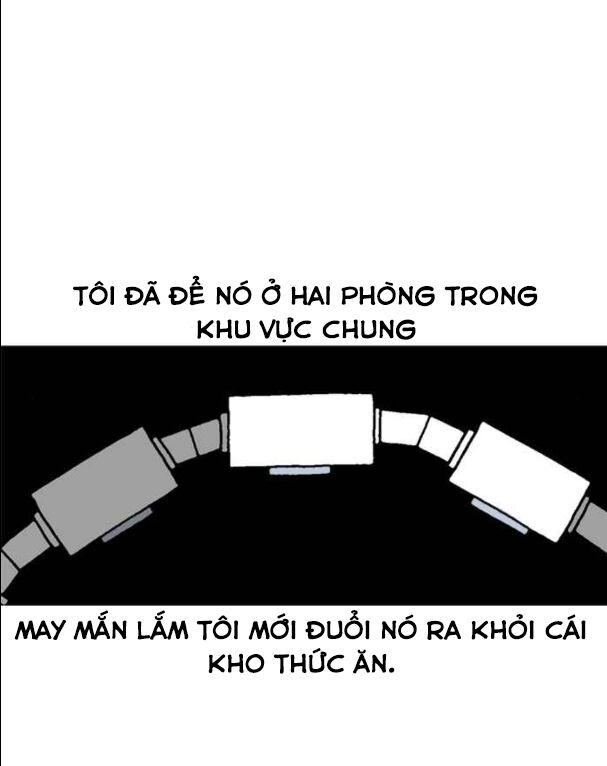 mắc kẹt trên mặt trăng chapter 11 13