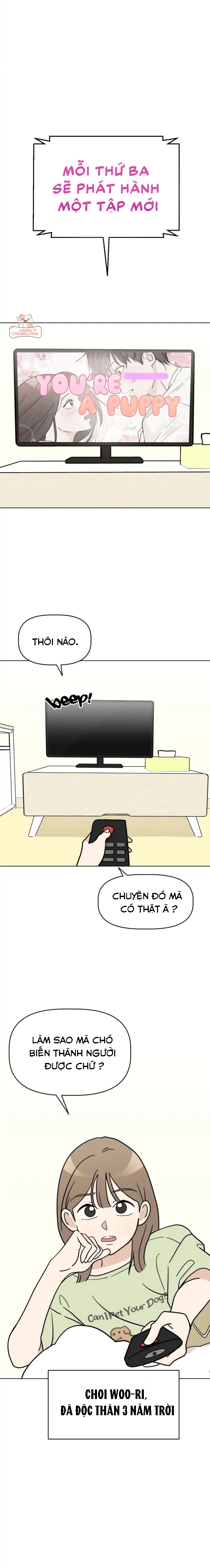 maru là một bé cún chapter 1 2