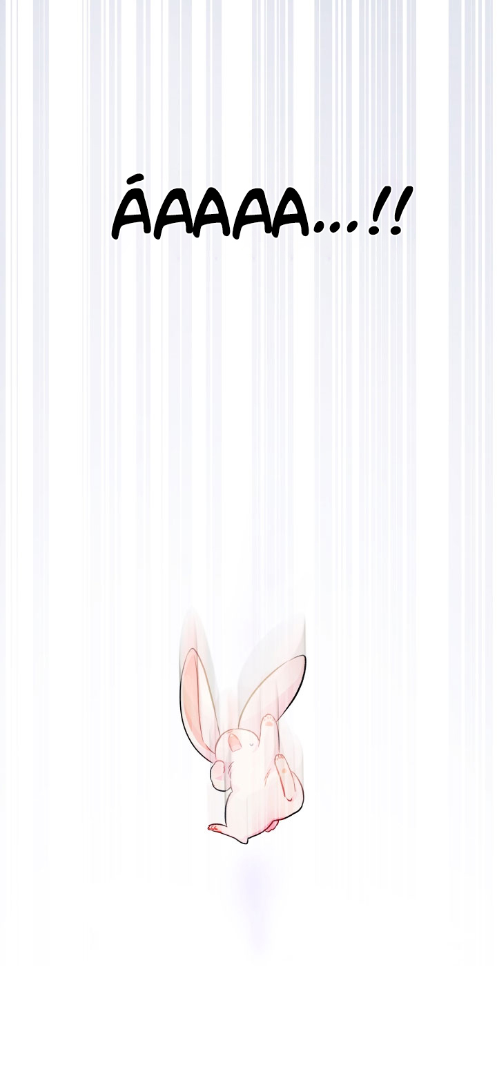 mối liên kết giữa báo đen và bé thỏ chapter 14 41