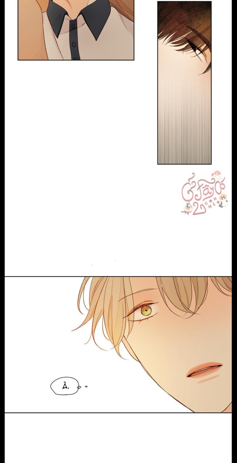 suy nghĩ trong mắt em chapter 2 12