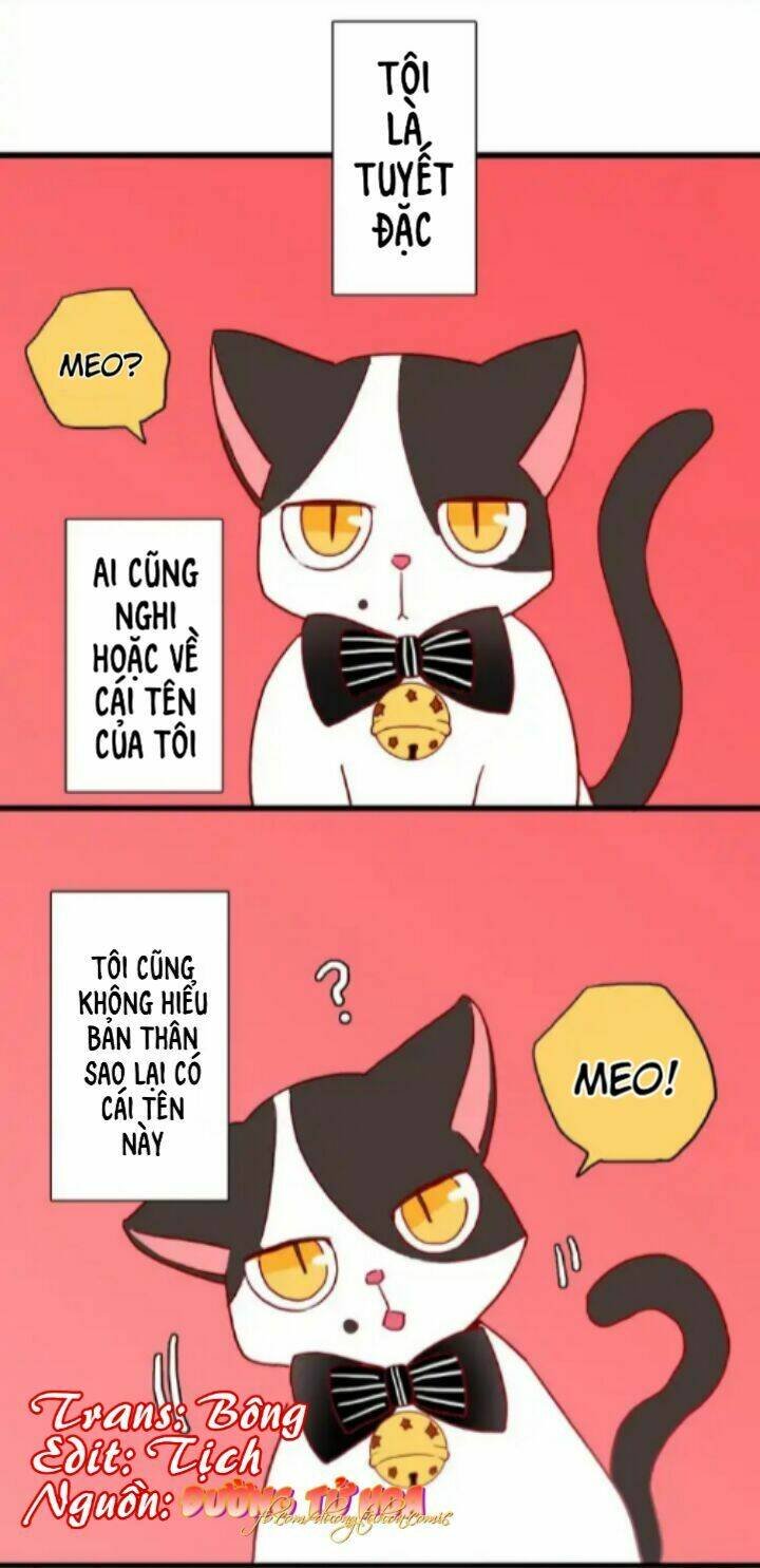 gấu nhỏ dư và thỏ thỏ hứa chapter 13 18