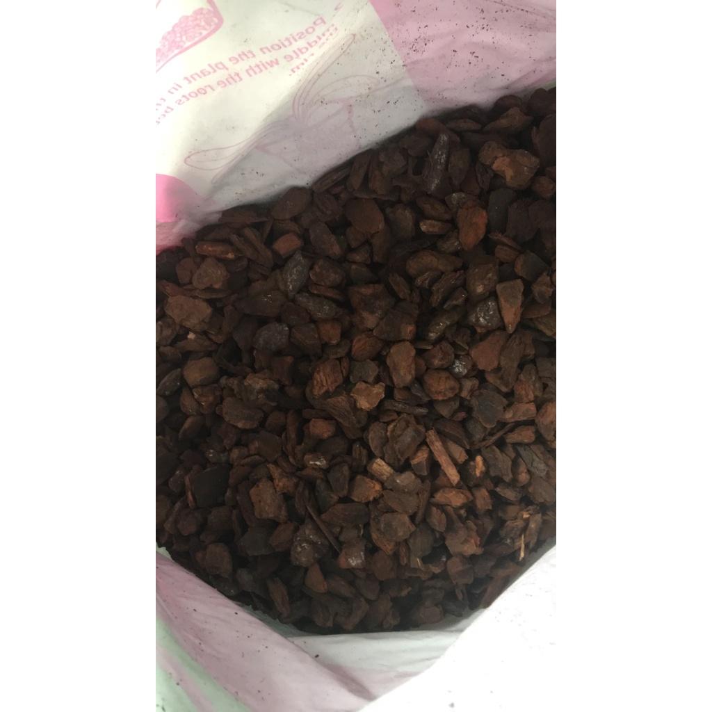 Vỏ Thông Orchiata các kích cỡ - Nhập khẩu Newzealand chia lẻ 1kg