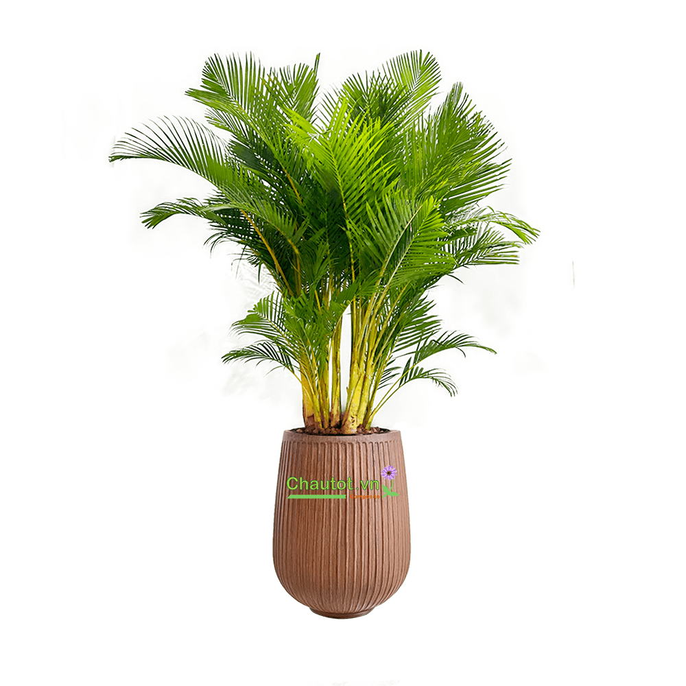 Chậu Composite tròn tân cổ điển 45x45x58cm|Màu Gỗ| CT2030-BAOBINH