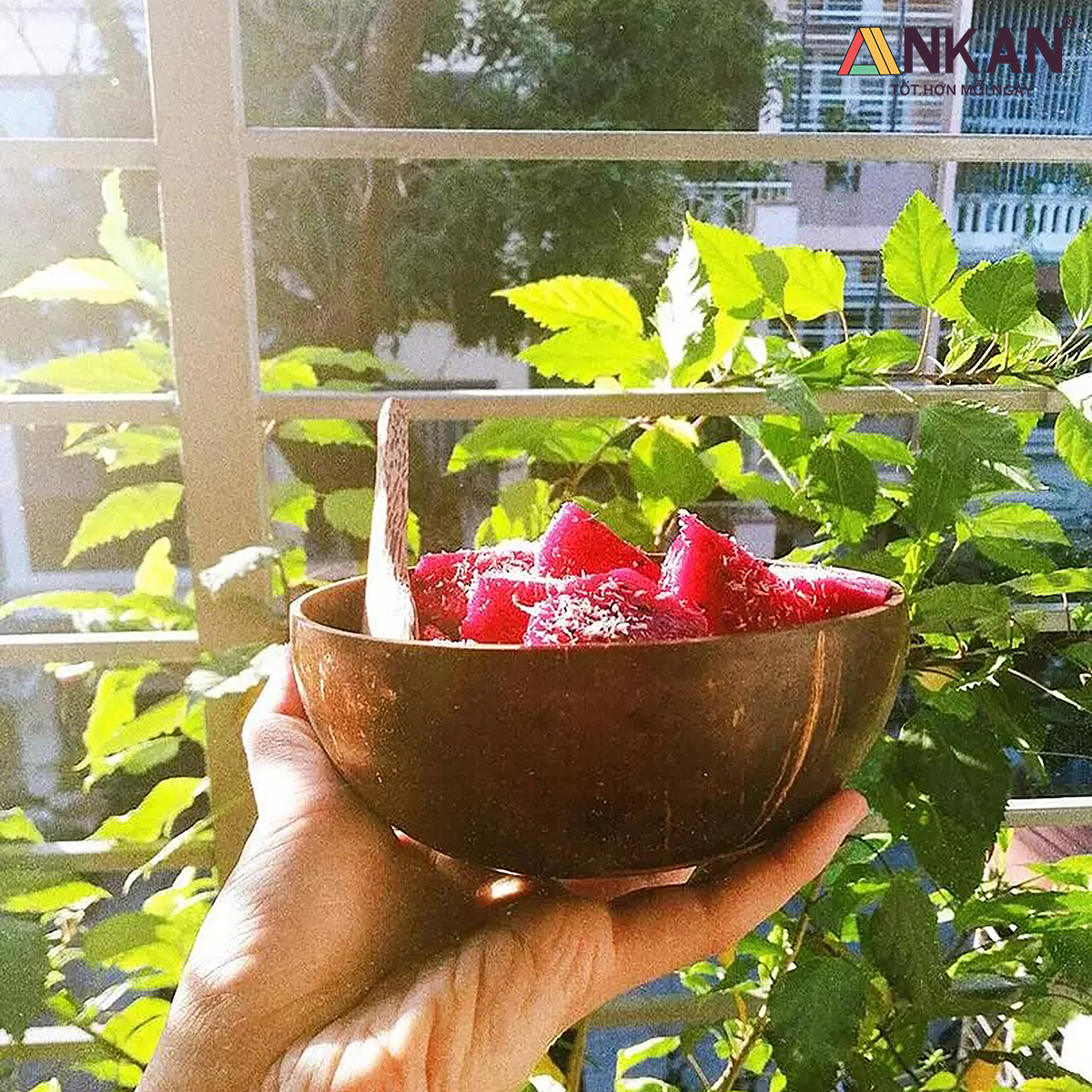 Bát Gáo Dừa Và Muỗng, Bát Gáo Dừa Thân Thiện Với Môi Trường Dùng Để Ăn Ngũ Cốc Sữa Chua Hoa Quả