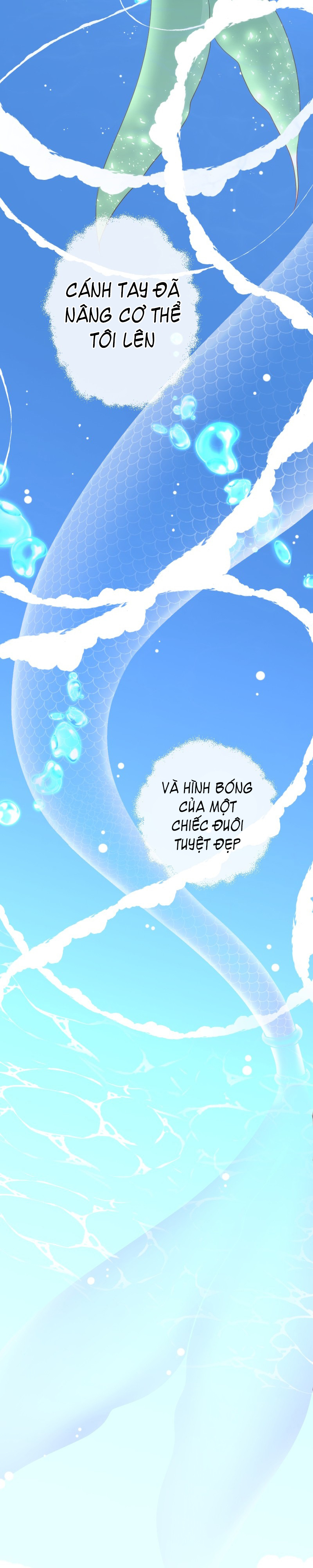 bí mật của nàng tiên cá chapter 0 6