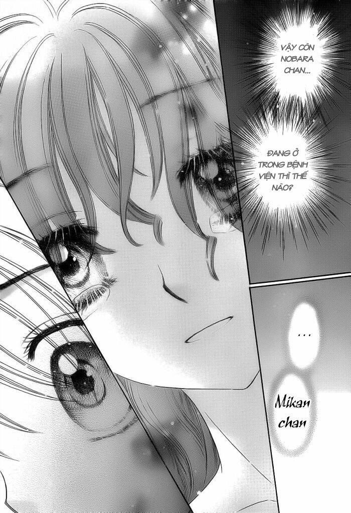 gakuen alice chapter 155 12