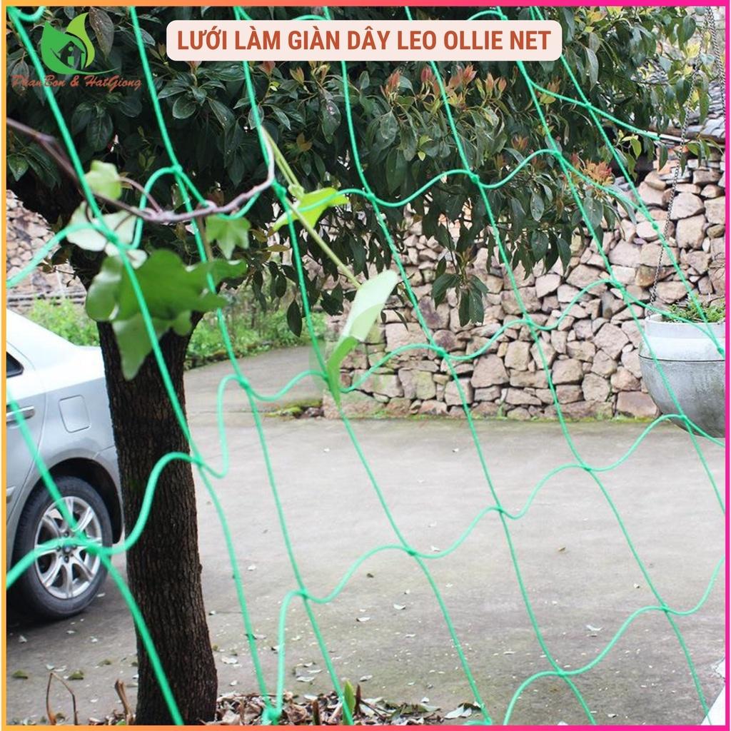 Lưới Làm Giàn Dây Leo Lưới Làm Giàn Dưa Leo, Hoa, Đậu Leo, Giàn Cây Bền Chắc - Shop Phân Bón và Hạt Giống