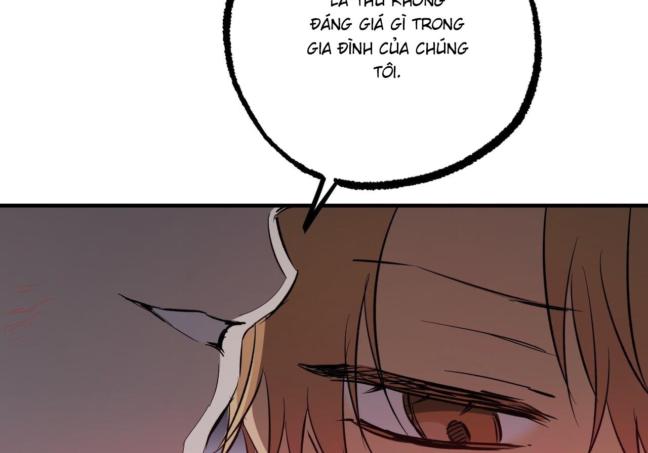 những chú thỏ của hapypy chapter 60 135