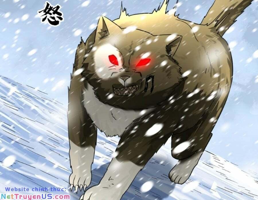 đóng băng toàn cầu: tôi gây dựng nên phòng an toàn thời tận thế chapter 151 36