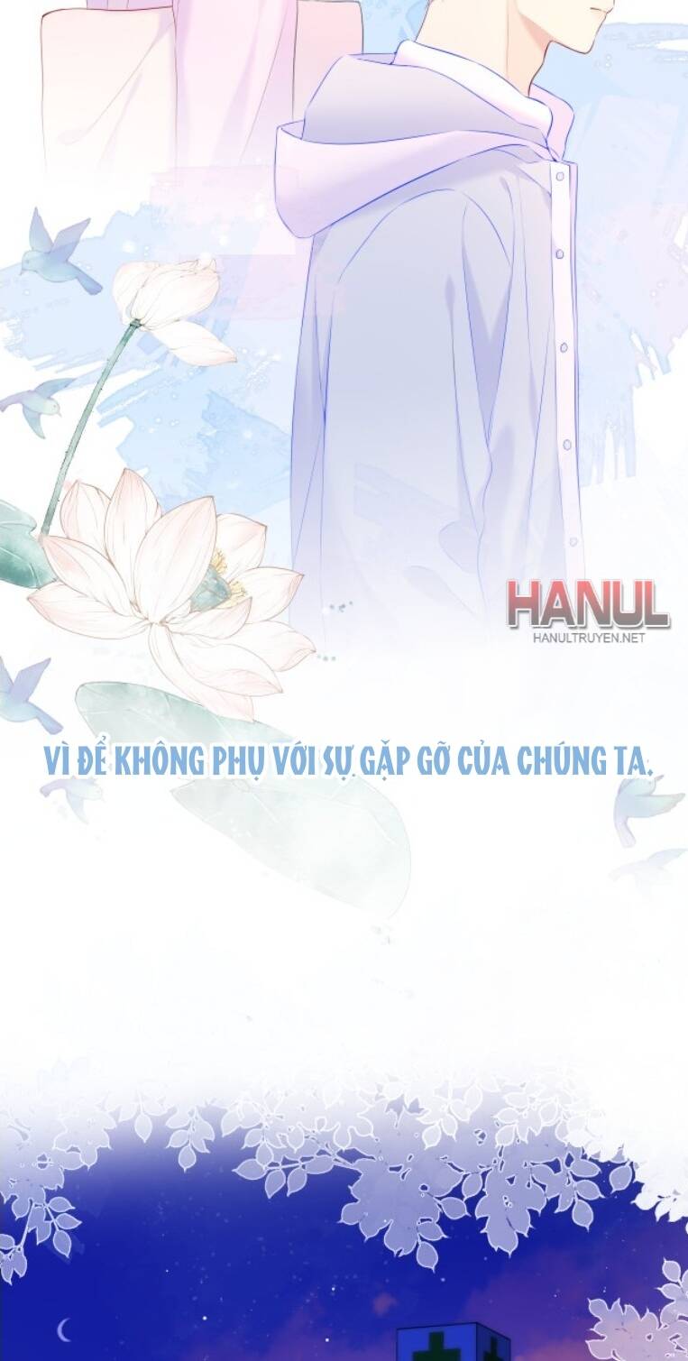 vì sao của tôi chapter 127 17