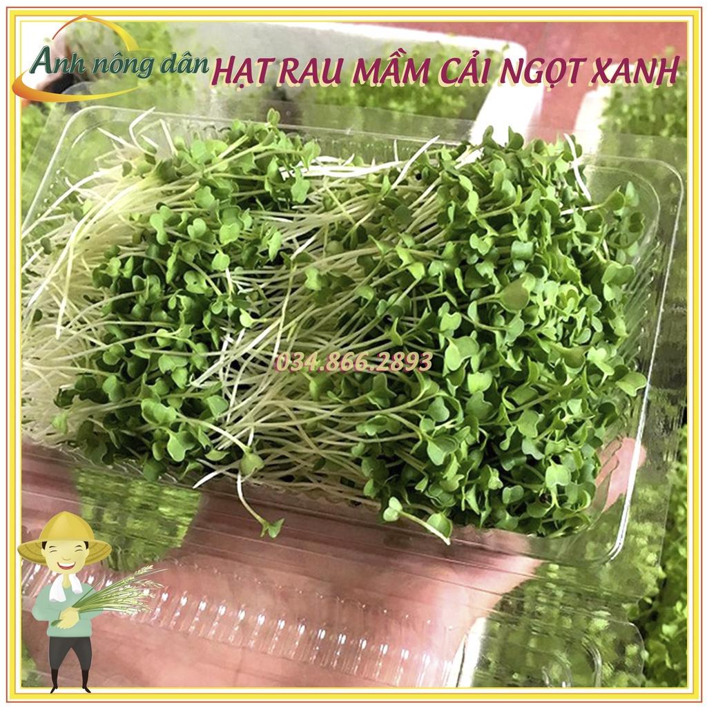 Gói 50g Hạt rau mầm rau cải ngọt Xanh - Hạt rau chất lượng cao, nảy mầm đồng đều
