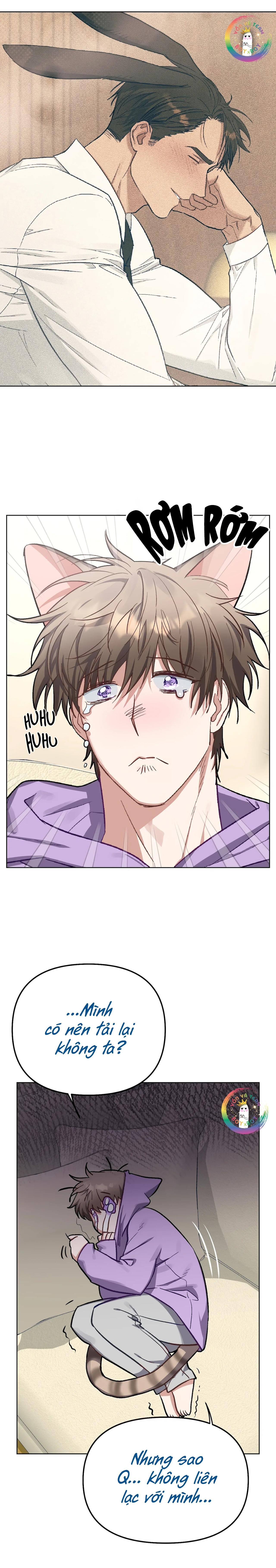 thỏ xuất tinh trong vòng 3 giây chapter 6 14