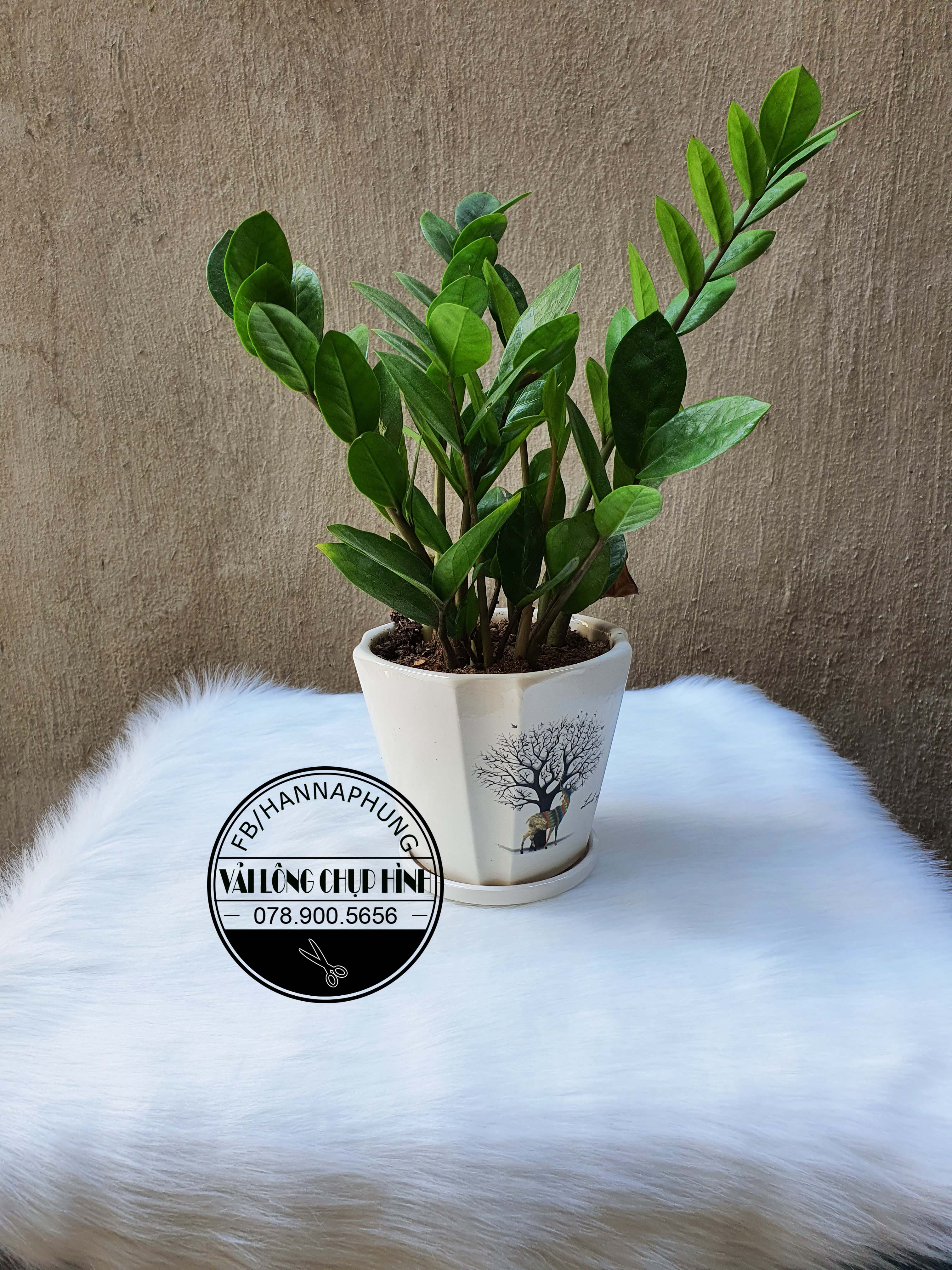 Thảm lông tròn chụp ảnh - Màu Trắng