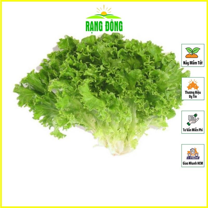 Hạt giống Xà Lách Xoăn Xanh Chịu Nhiệt Trồng Quanh Năm, Sinh Trưởng Tốt - Hạt giống Rạng Đông