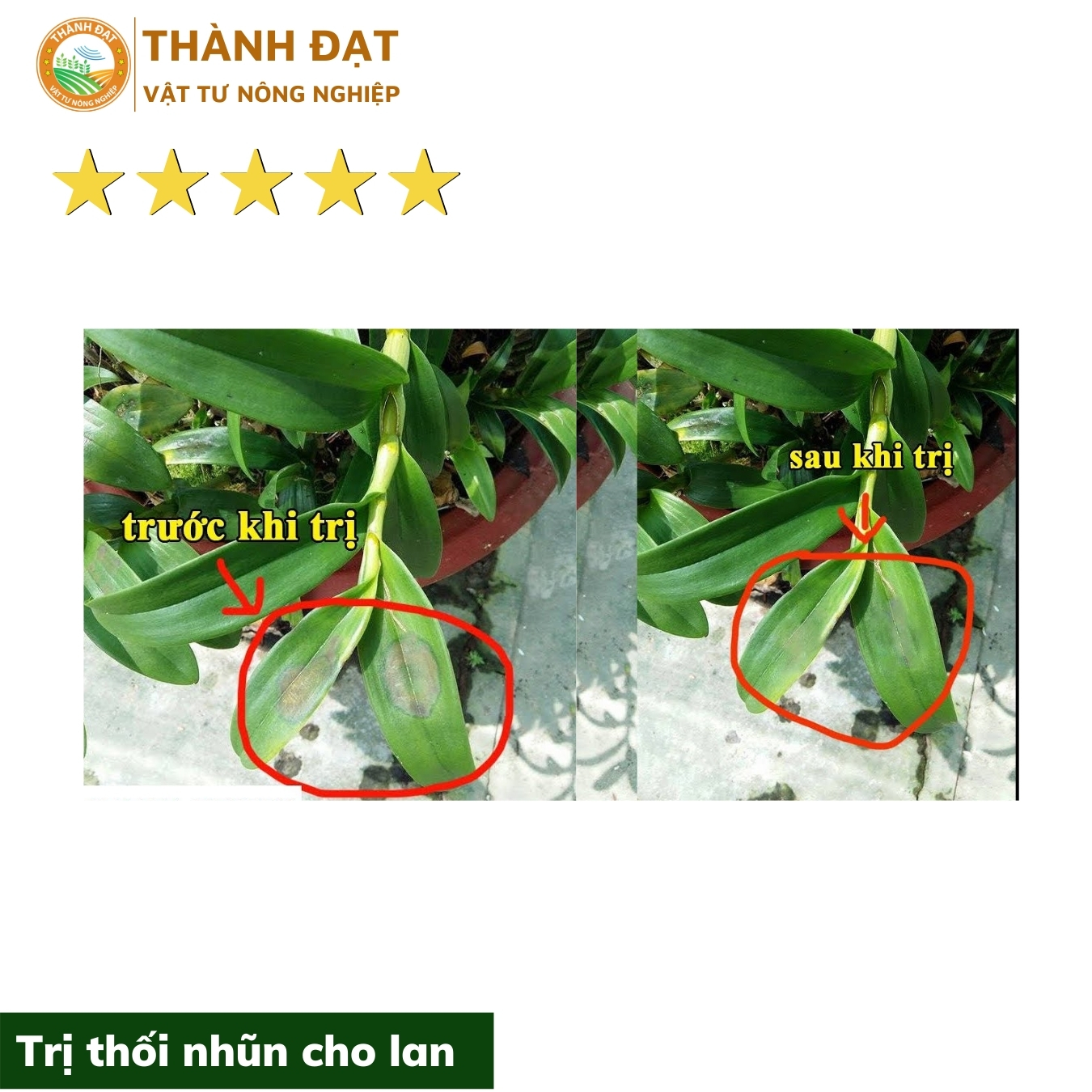 Thuốc chống thối nhũn cho lan Captan hàng thái lan