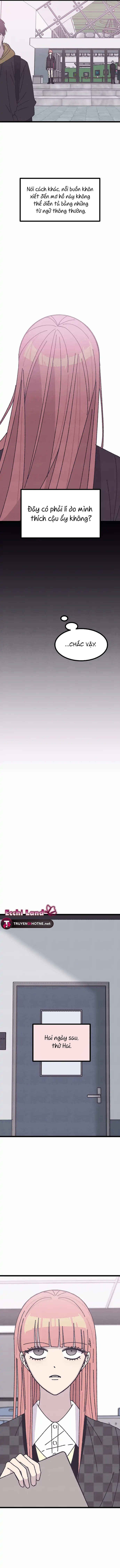 quy luật màu hồng tồi tệ chapter 11.2 12