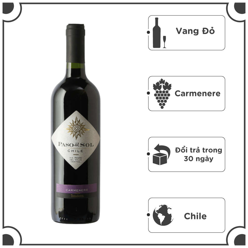 Rượu Vang Đỏ Chile TerraMater Paso Del Sol Carmenere