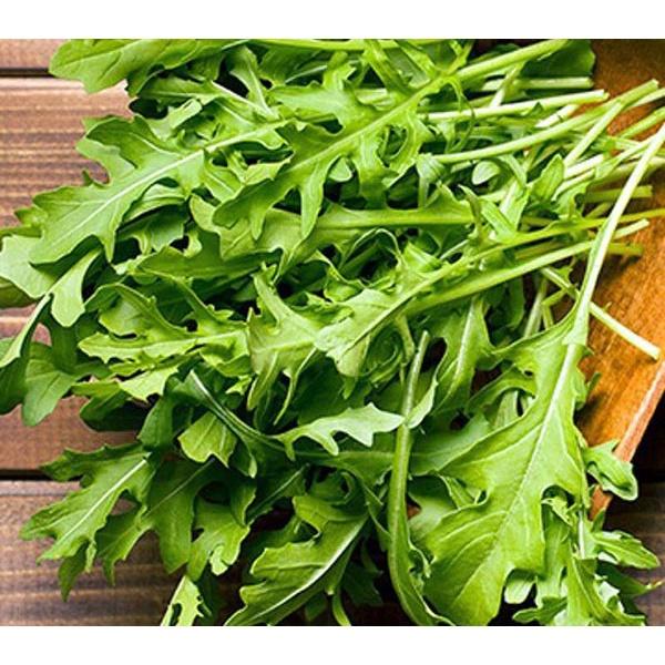 Hạt giống rau cải rocket cao sản KNS3410 - Gói 20gram
