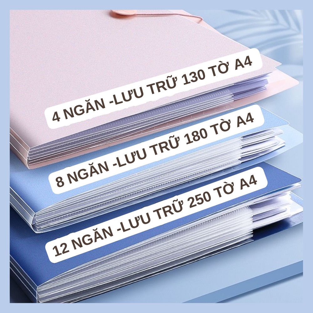 File đựng tài liệu A4 / Túi tài liệu A4 4-8-12 ngăn phân trang – lưu trữ tài liệu