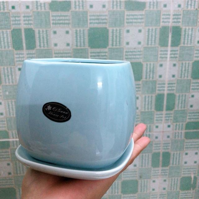 Chậu Trồng Cây