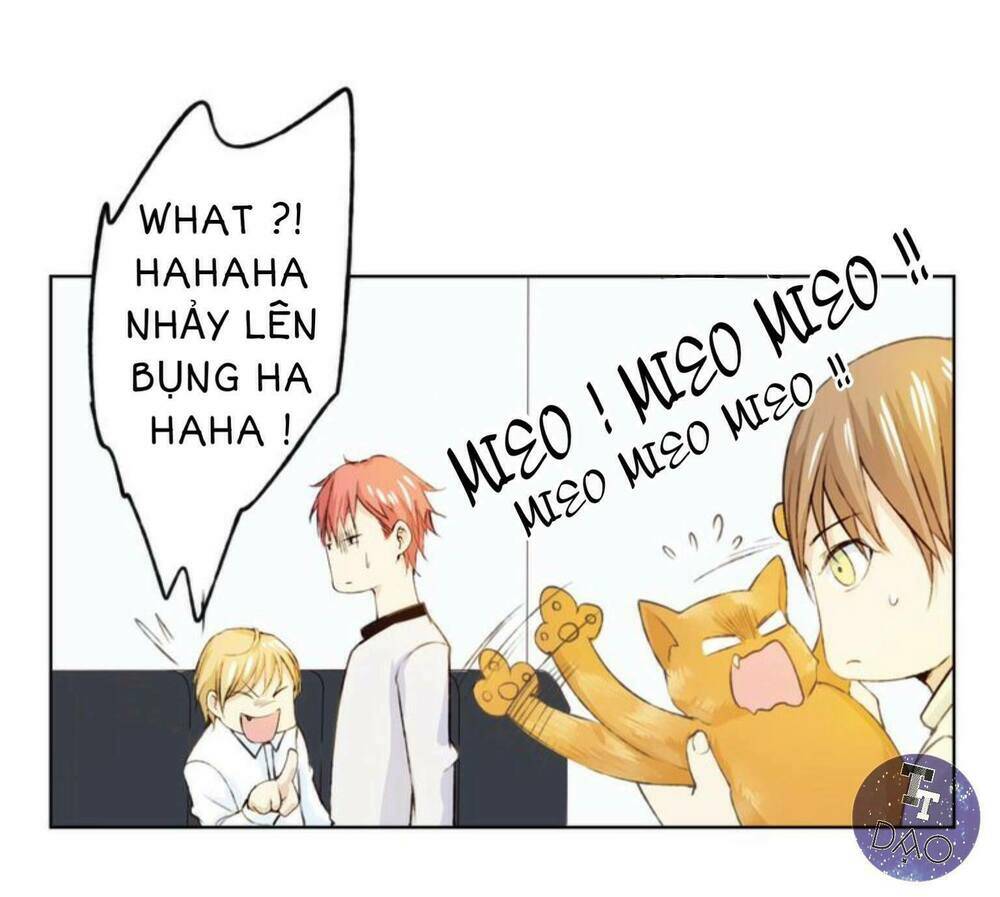 tôi không phải đa nhân cách chapter 12 12