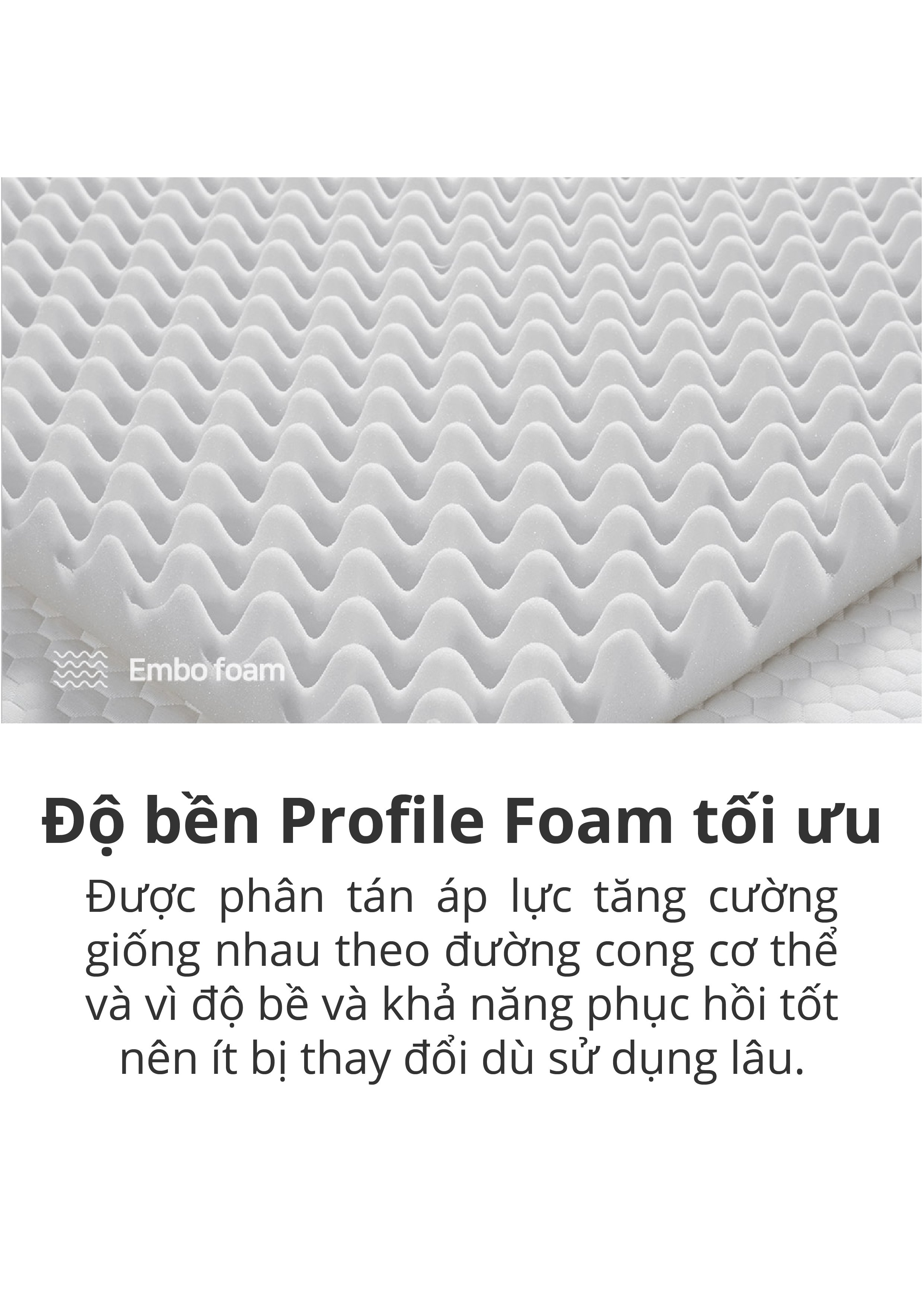 NỆM LÒ XO BEDIS BELUGA