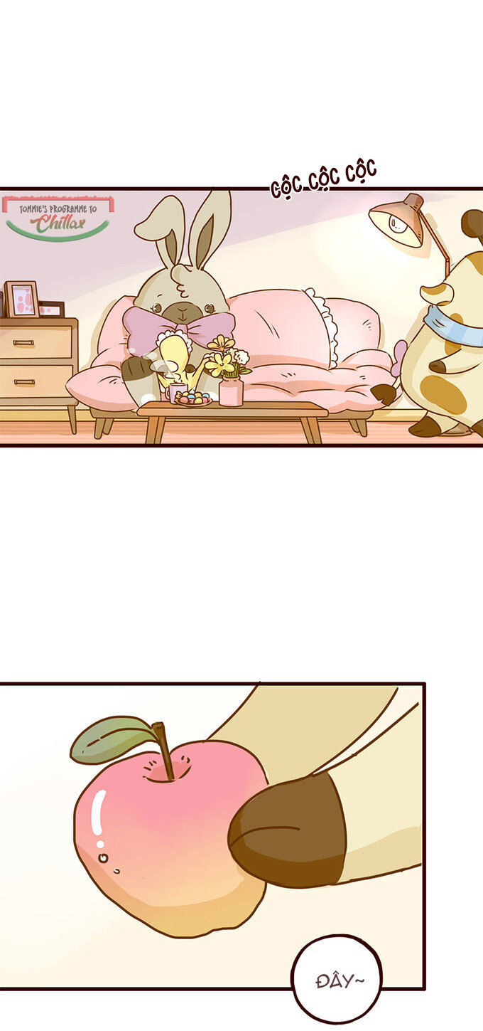 lạc chẩm cổ dài chapter 1 5