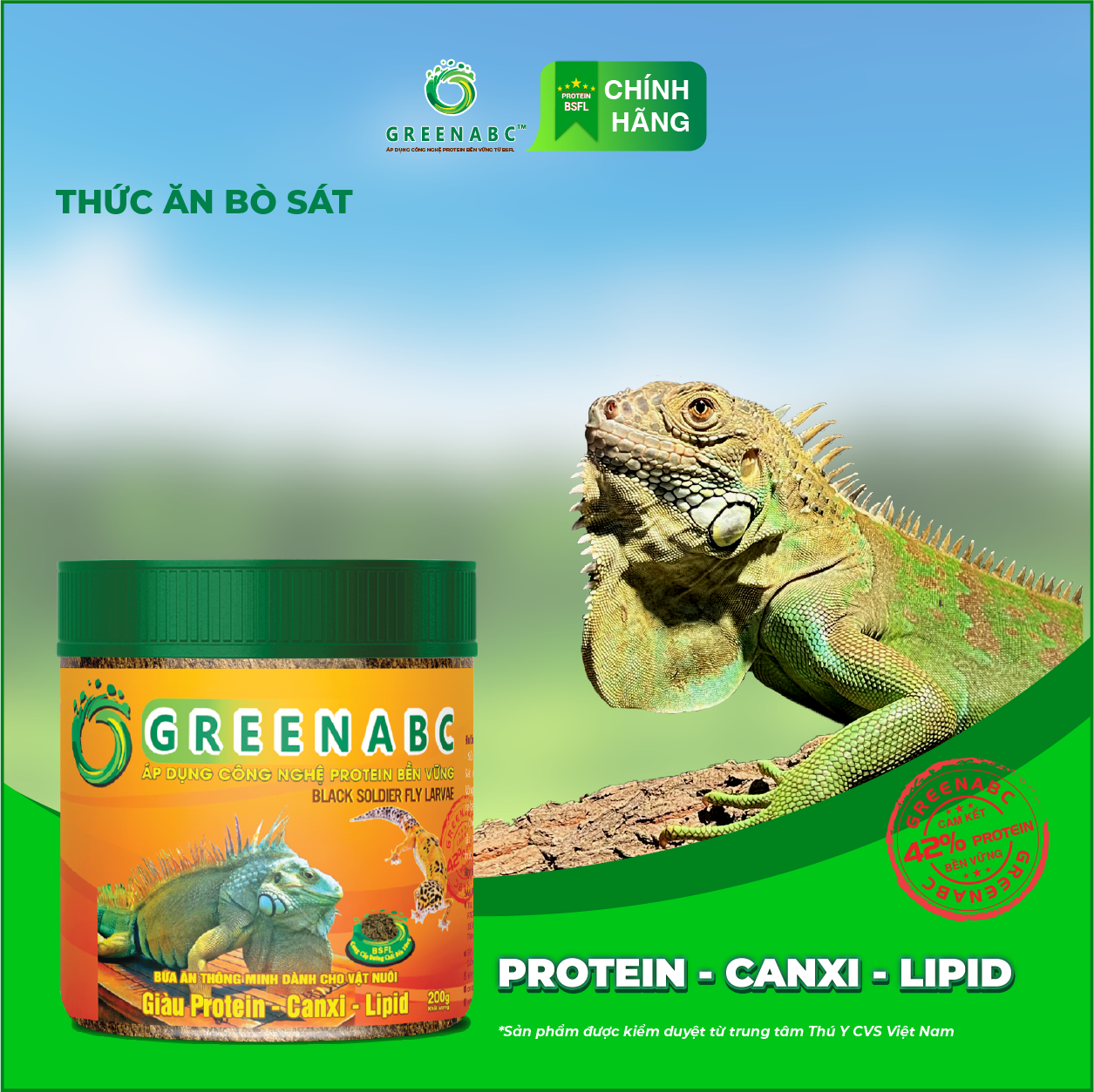 BÒ SÁT IGUANA RỒNG ÚC - Thức ăn bò sát bổ sung dinh dưỡng cho RỒNG NAM MỸ, RỒNG ÚC cho TĂNG SIZE, TĂNG MÀU, ĂN NGON, CANXI 1.33% giúp GAI TRÒN BUNG ĐỀU, GÙ CAO, TRÁNH BỊ MBD, TEO ĐUÔI