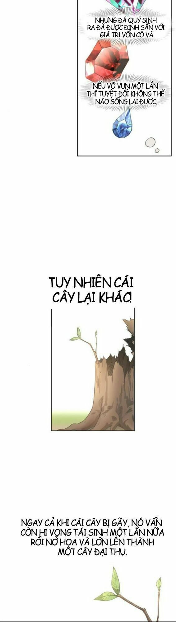Võ Sĩ Quyền Anh chapter 33 33