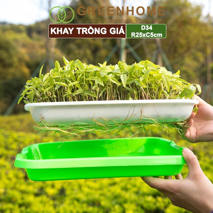 Bộ khay trồng giá, rau mầm, Greenhome, D34xR25xC5cm, nhựa nguyên sinh, an toàn, dễ trồng tại nhà, nhiều màu lựa chọn