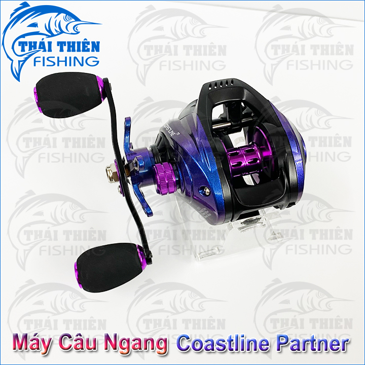 Máy Câu Ngang Coastline Partner 8.0:1 Tay Quay Trái Dùng Lure Cá Lóc, Chẽm, Mú