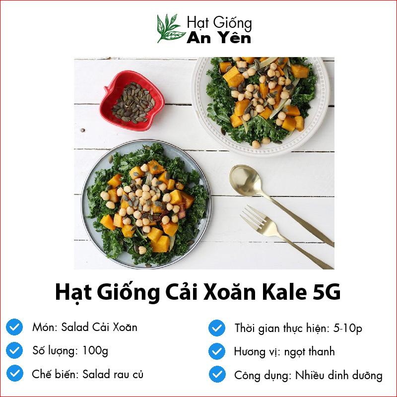 Hạt giống Cải Xoăn Kale, nhanh thu hoạch, dễ trồng, nảy mầm và năng suất cao